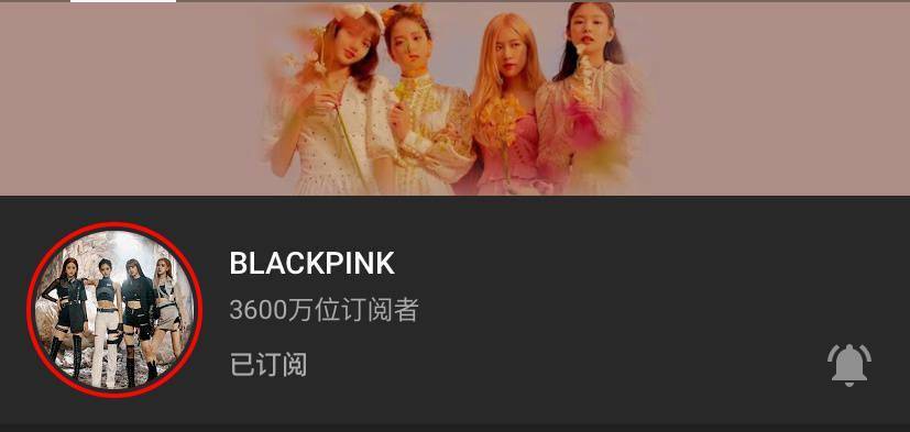 "一个月100万的增长数"blackpink油管官方频道粉丝订阅量突破3600万!