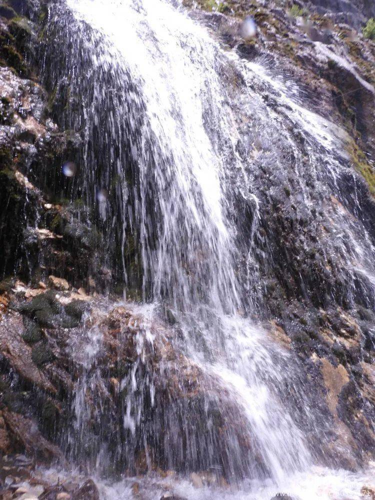 趁阳光正好,武都姚寨沟约起来!_风景区