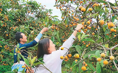 双清区|花果山等你来