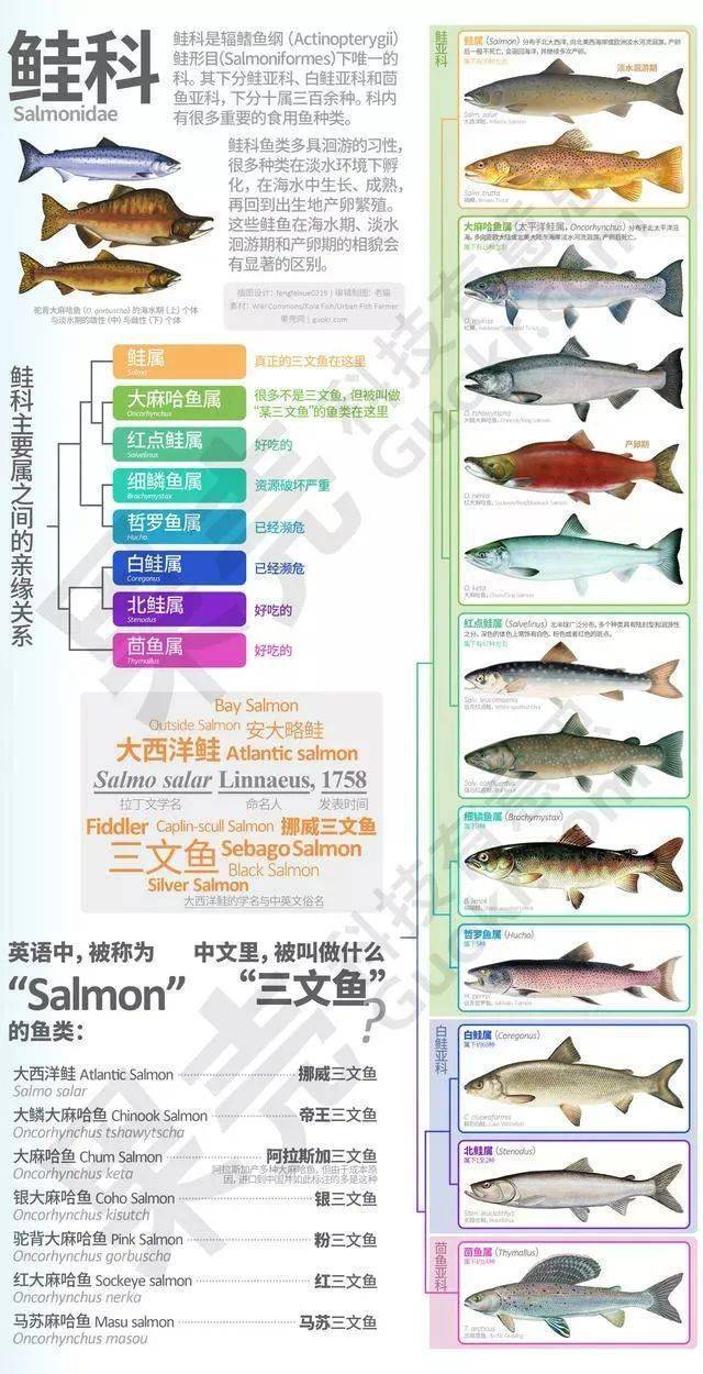 欣源|或带孩子去店里吃了海鲜，会感染血吸虫吗？从菜场买回的鱼和菜会带虫吗？——血吸虫（3）欣源说 | 孩子玩了脏水