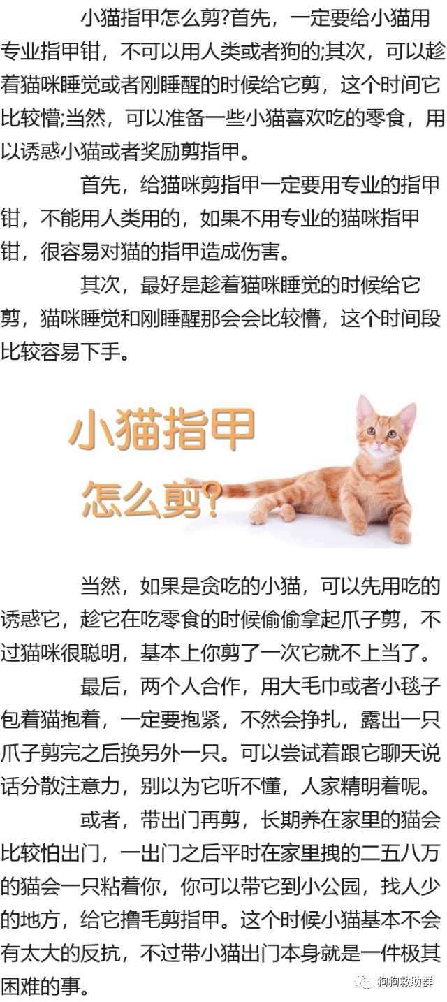 712bf0d0a450413ca843394a16734d25.png