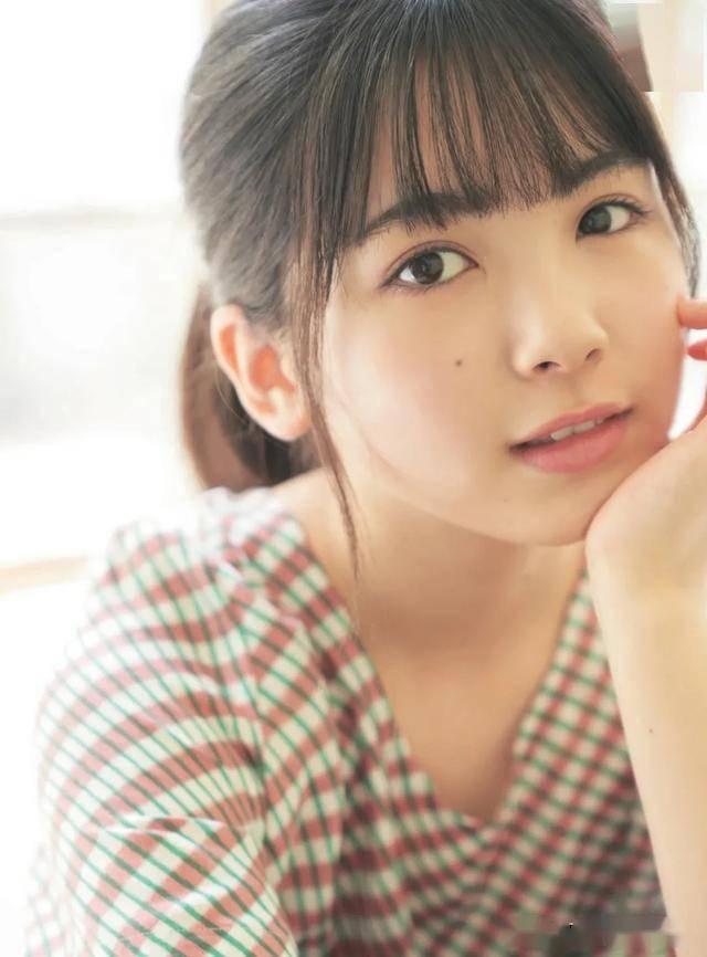 24款
