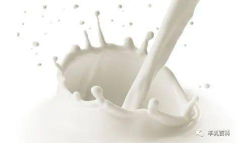 什么时间喝羊奶粉最合适 97a54c192b5243b1a23451c253cc6429.jpeg