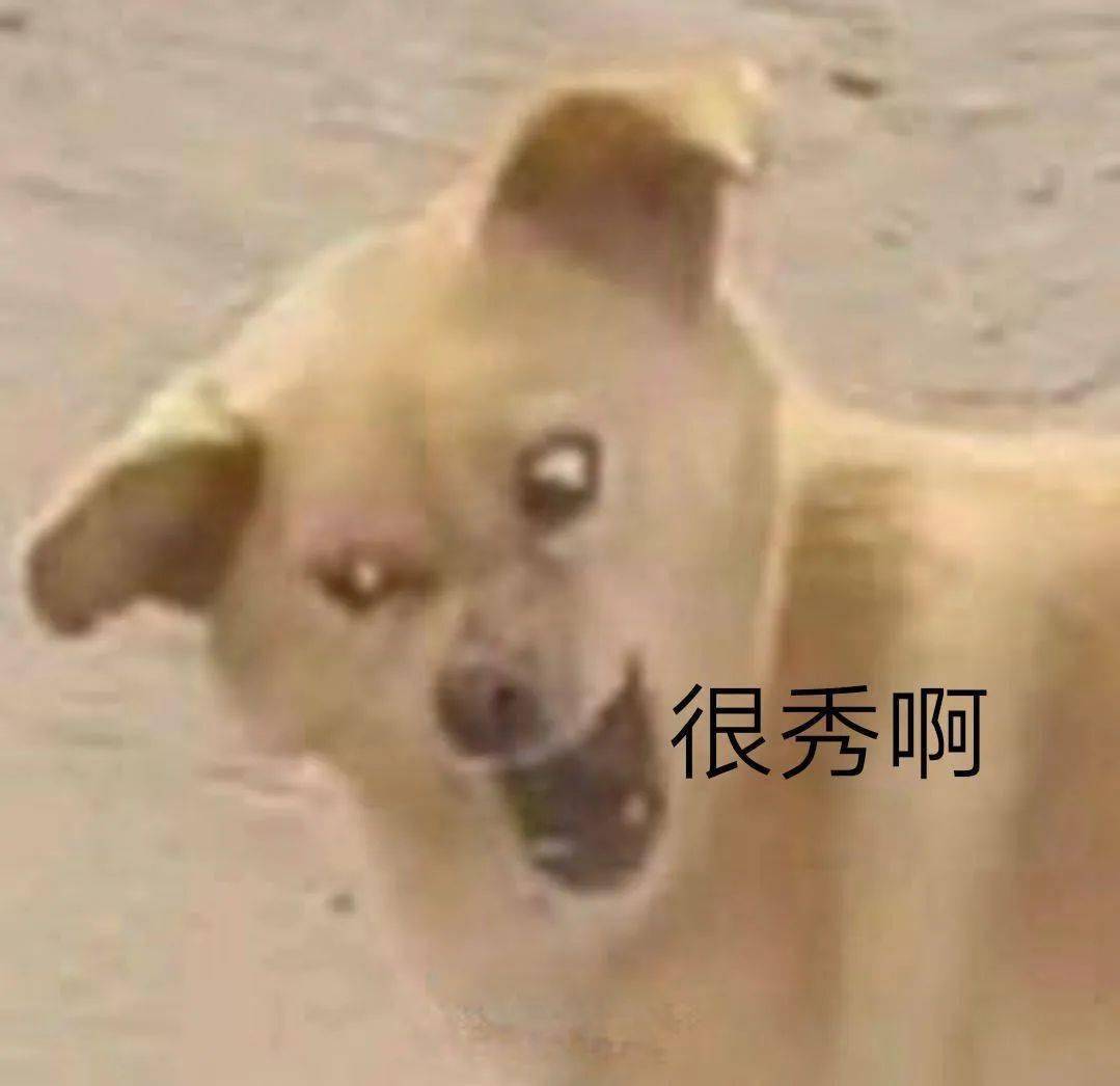 遂溪2020gdp_遂溪一中图片(3)