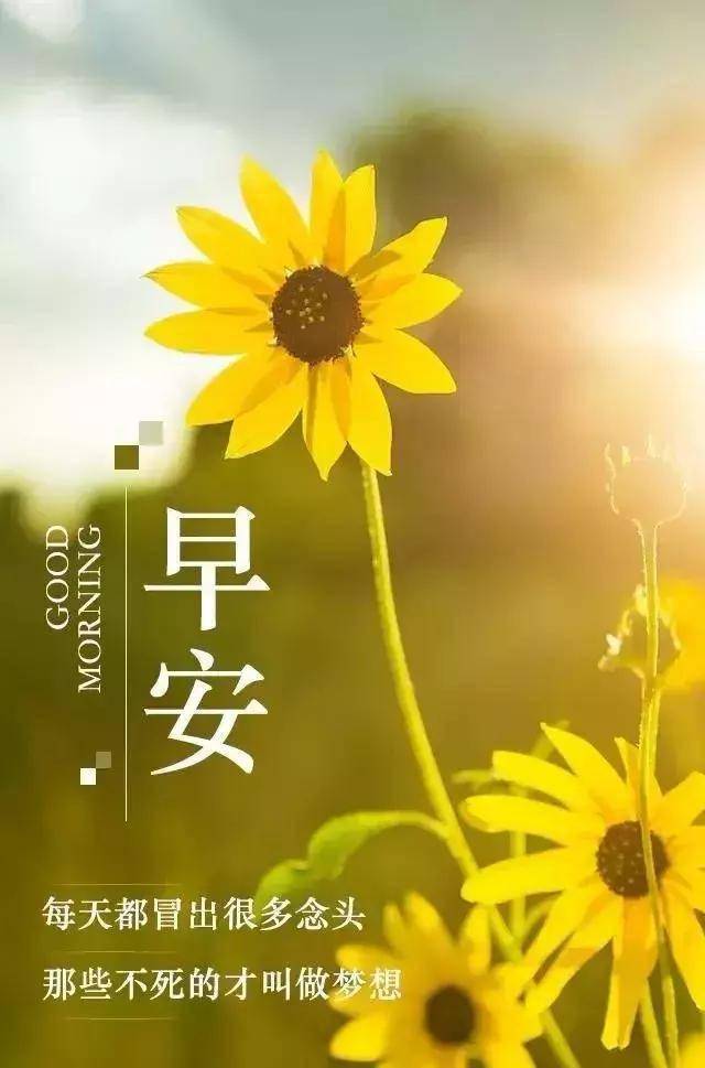 9be8b5a8678547068316504c6117af0b.jpeg