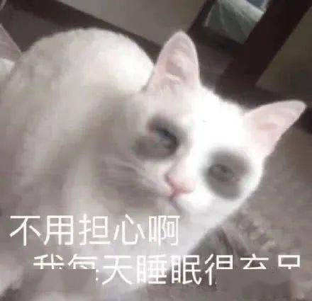 9df6b43ff78e4bd3a302acbf3583374e.jpeg