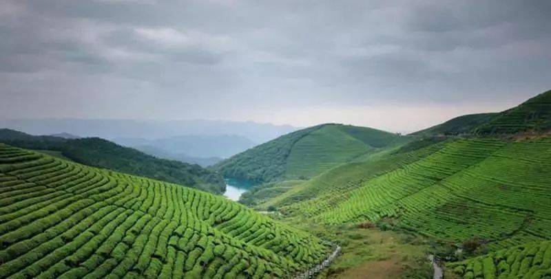 高山茶园| 6.13 穿越大嵩岭古道,漫步福泉山茶园,轻装行走山脊线