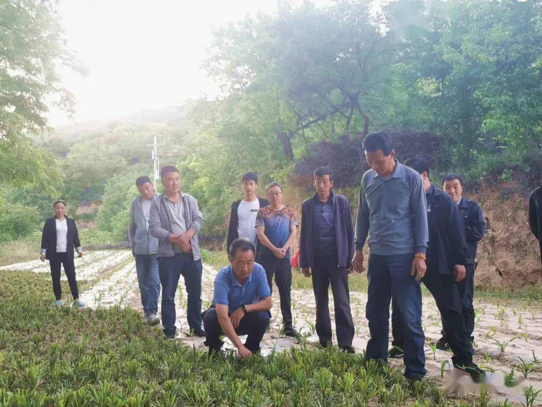 【扶贫在线】岳金林在礼县白河镇开展脱贫帮扶工作
