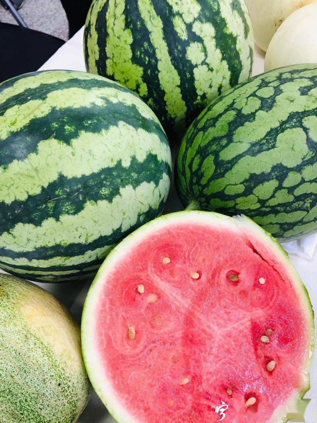 最便宜的水果多少钱 23b2d1b1026a4d059b3814f0c3a72a0a.jpeg