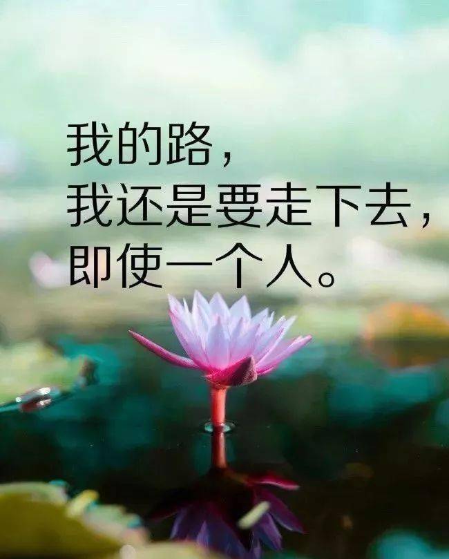 抖音最火的心情说说,句句深入人心,超喜欢!