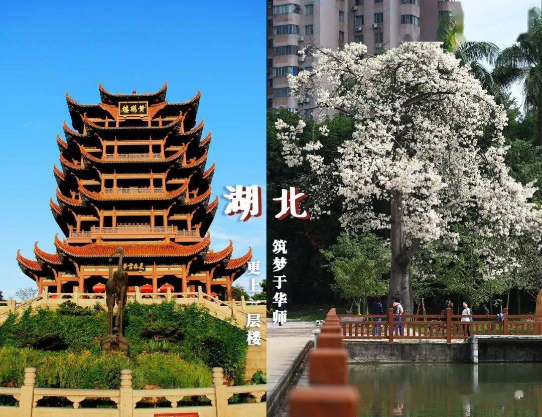 林世泉|梦想不延时华师在等你