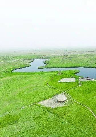 荒滩|天山守望 | 绿衣扮荒滩 沙里淘金忙