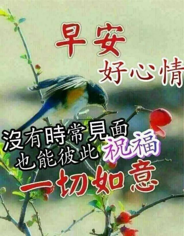 6月6日问候大家早上好动图美女2020 清晨祝福早上好问候语温馨