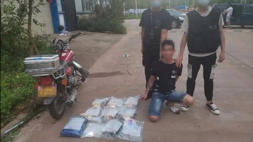 运输|防城港破获特大运输毒品案，缴获冰毒5.94公斤