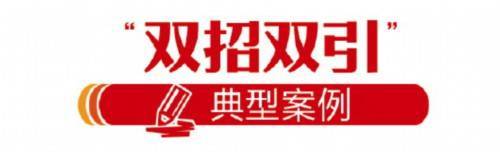 梧桐|厚植营商沃土，育出一片“梧桐林”