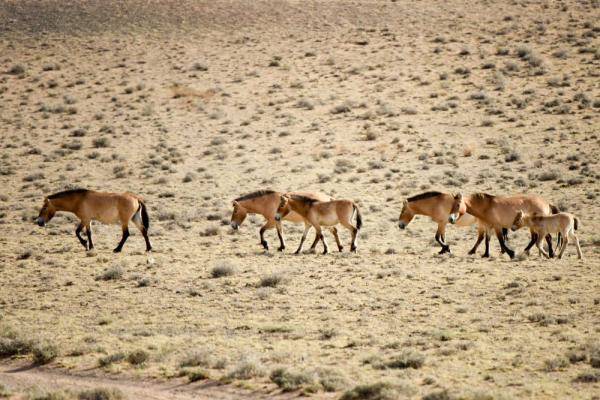自然保护区|这一幅幅生命的画卷，好美！