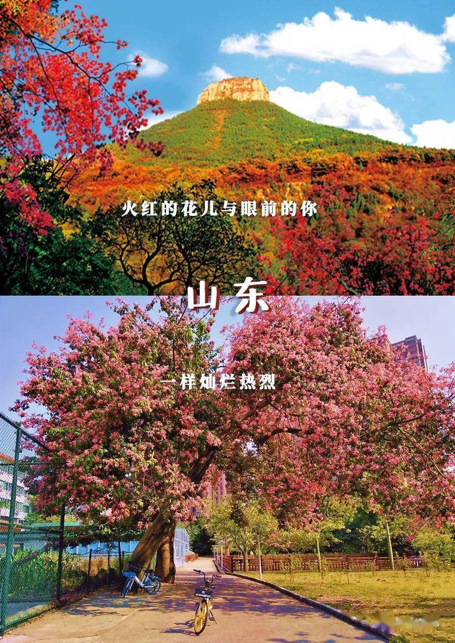 林世泉|梦想不延时华师在等你
