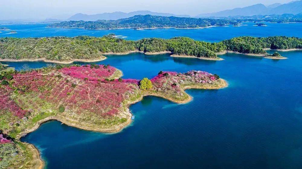 武宁西海海岛木屋/房车纯玩两日游_旅游