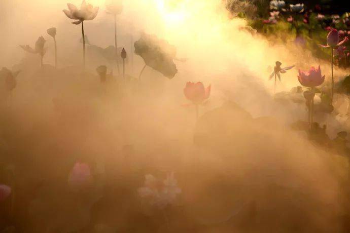 世间最美好的默契 da25b7ce3b624dd694353c39bfd039ae.jpeg