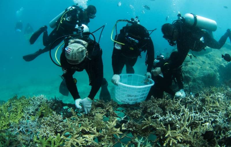 海域|中国首个热带海洋牧场雏形初现，组图揭秘如何在海底放牧养殖