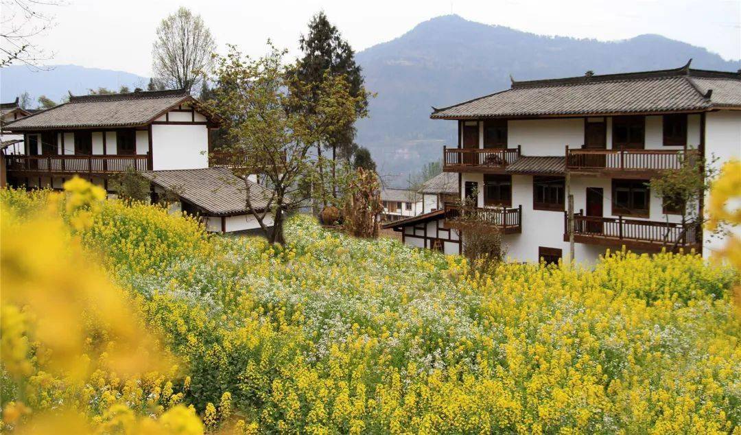 通江这2个村上榜省级乡村旅游重点村!_王坪村