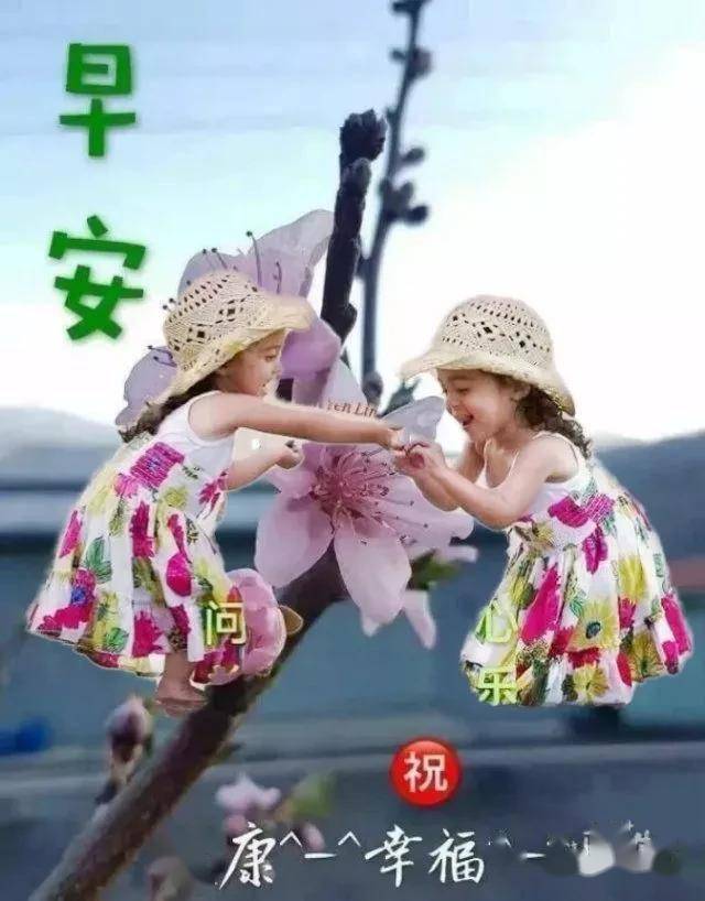 人生,不过一杯茶,满也好,少也好,争个什么!早安