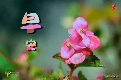 早上好表情动图早安图片带字