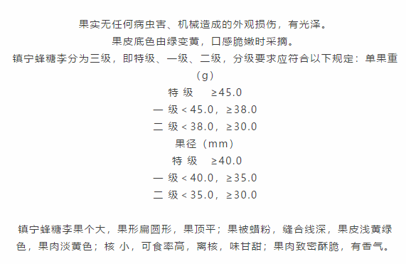 e2e3b40846a948d9acbd3ce165cb5ee1.png