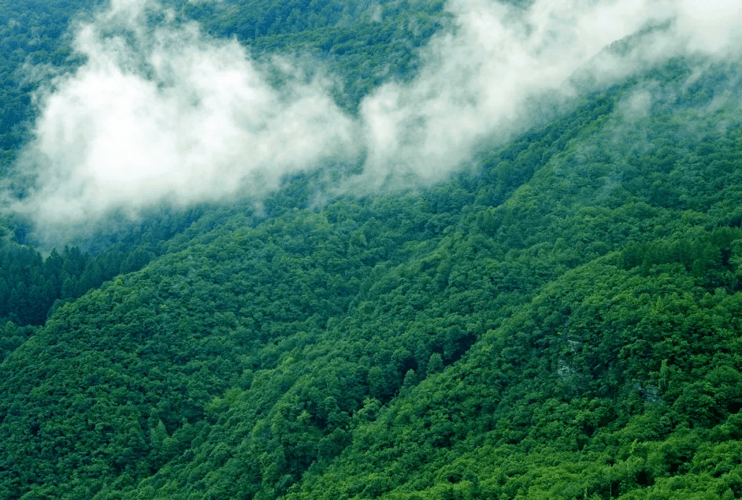 潜山人口走势图_潜山市规划图高清(2)