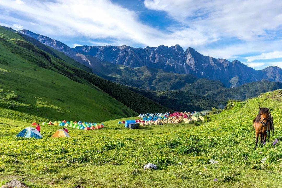 端午九顶山的盛夏光年│徒步天空花海寻觅云和山的彼端