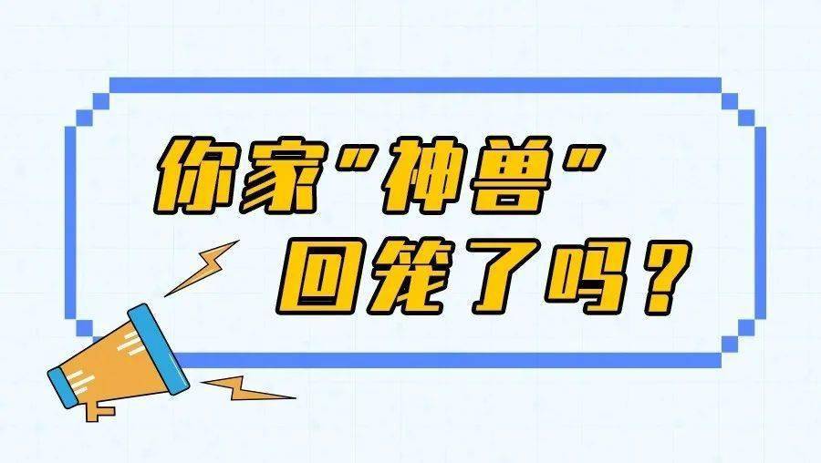 小神兽回笼学业和健康一样都不落下