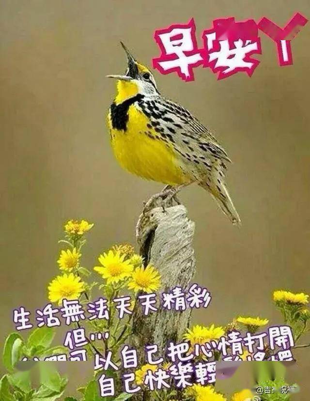 bda1df2225b647c0a87e8f9268c4621a.jpeg