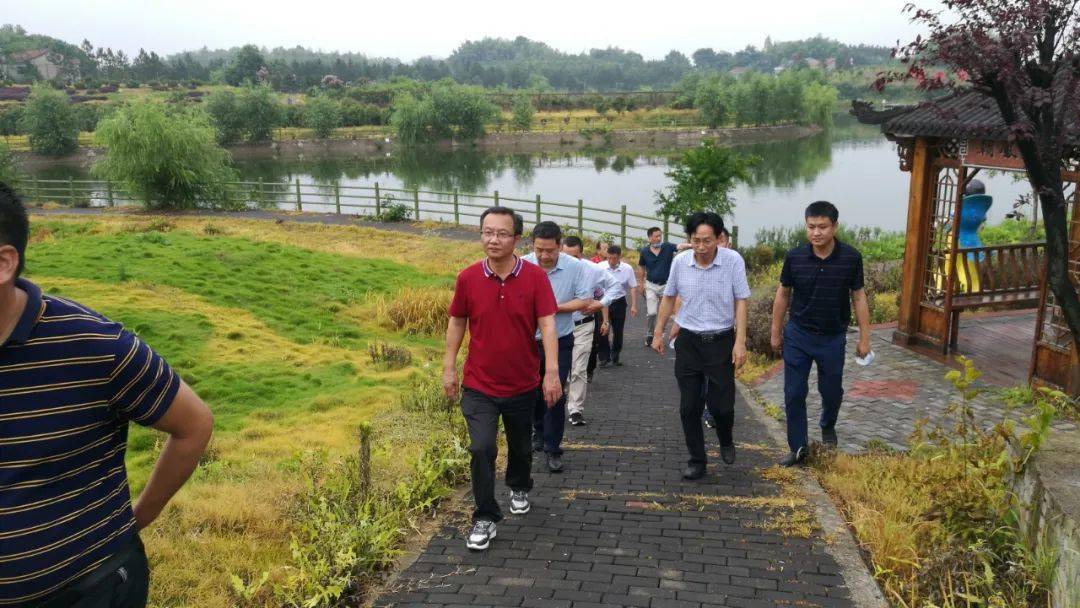 市财政局到彭思镇凤凰村指导美丽乡村示范村建设工作