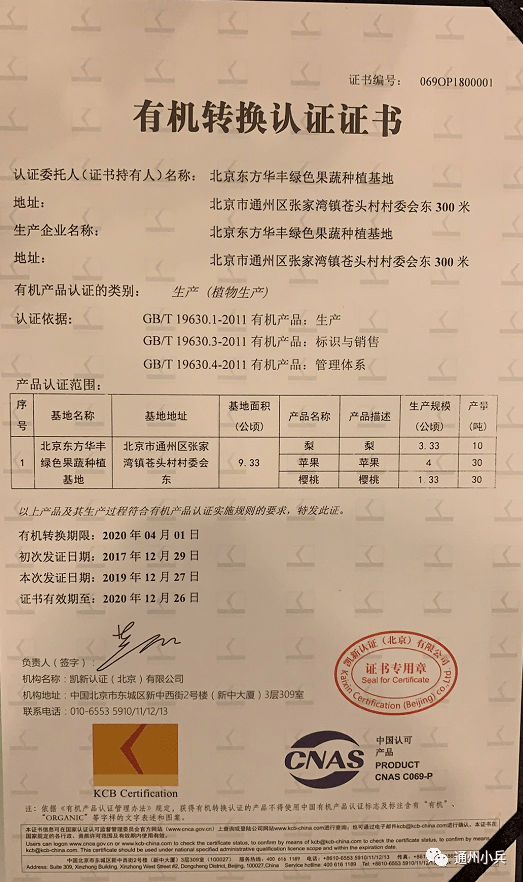 大樱桃简谱_大樱桃图片大全大图(2)