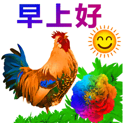 500_500gif 动态图 动图