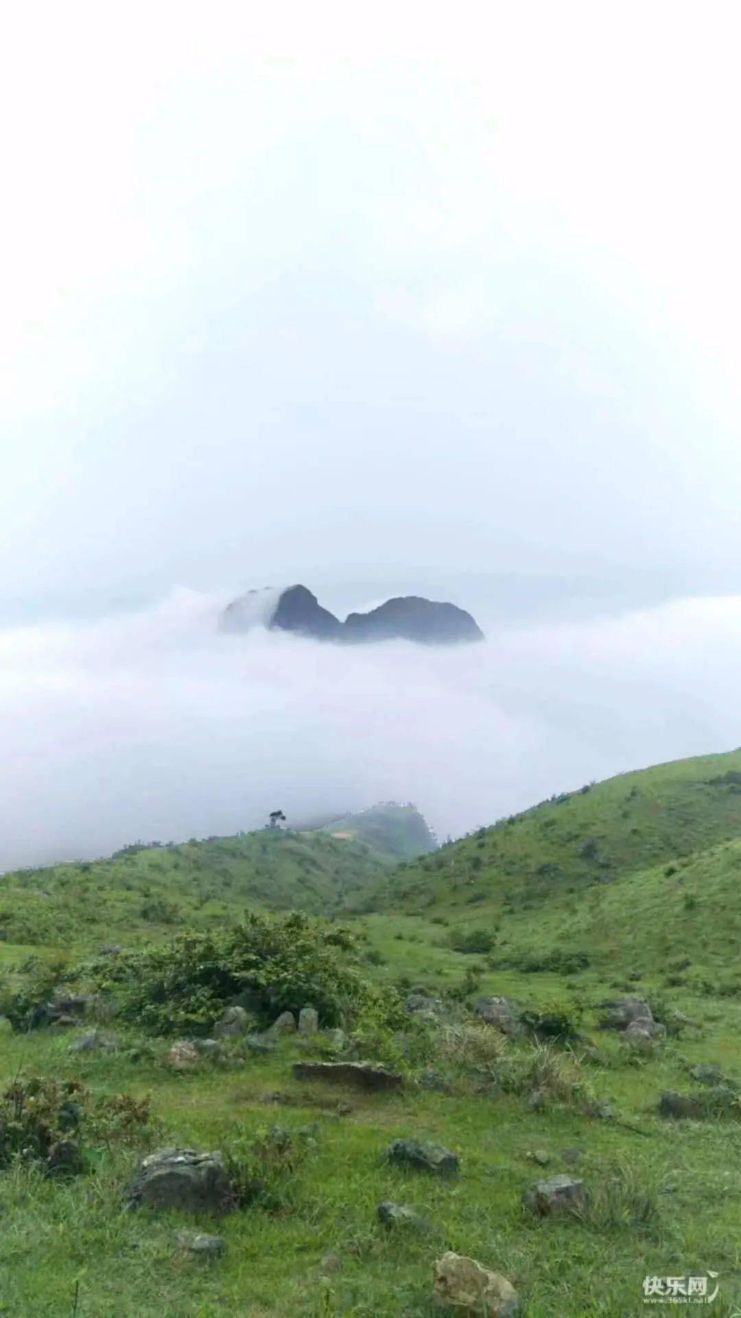 美极了贵港平天山顶惊现云海奇观