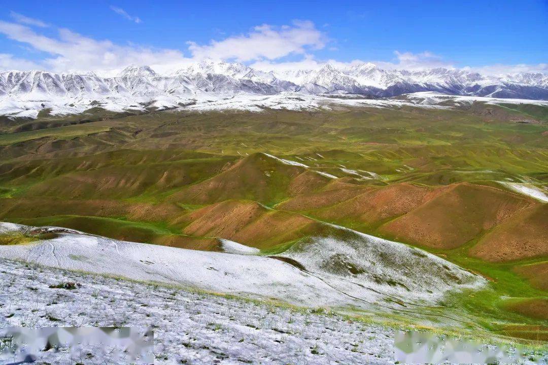 张掖:六月飞雪祁连山现"炎天飞雪"奇景