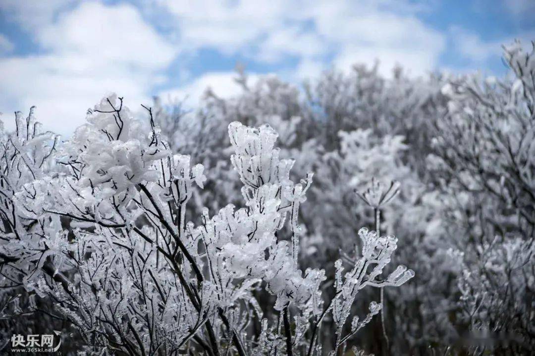 美极了贵港平天山顶惊现云海奇观