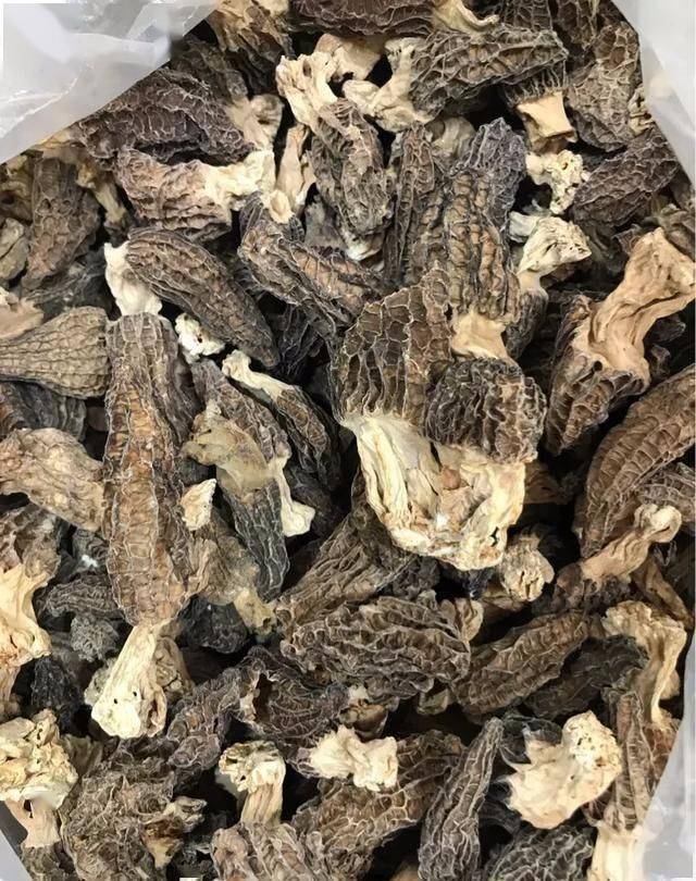 哪里购买羊肚菌 906e7daeef484e68a6709046f4dd933c.jpeg
