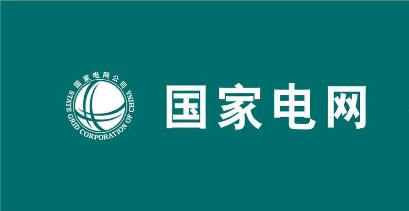 【国网旗下】山东电工电气集团新能科技有限公司,国有