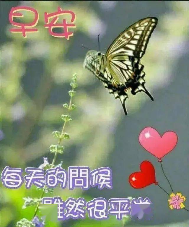 6月11日周四群发早上好问候祝福动态表情图片 6月最美
