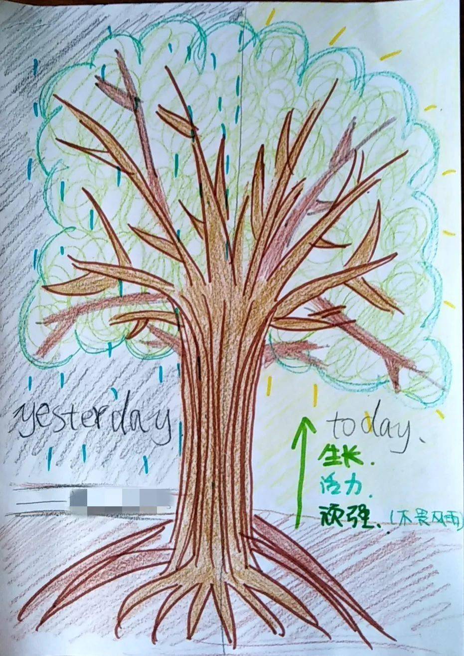【理工 云聚焦】云端携手525 居家共绘生命树——记理工附中东校区