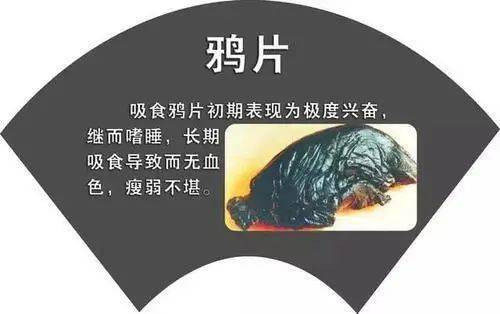9e36a6c7ab7e4f0b8d1f94f39cff81f0.jpeg