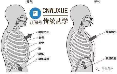 怎样气沉丹田