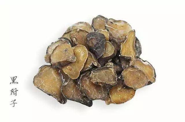 预警丨进补需防含乌头碱类植物中毒