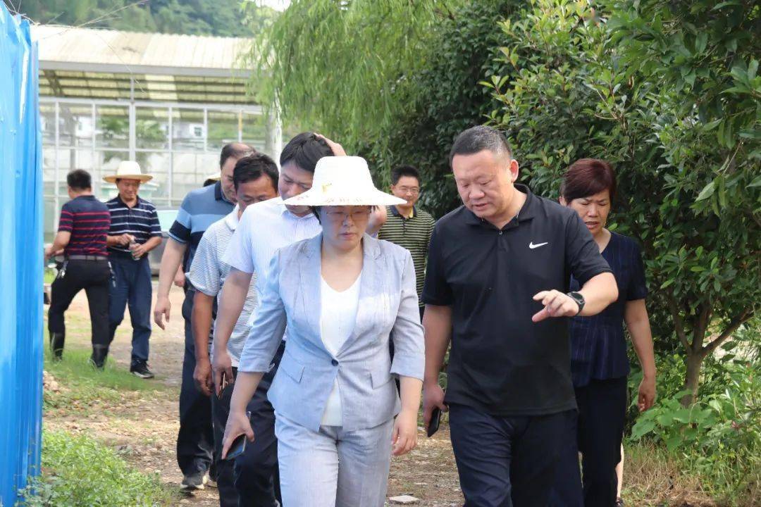 县领导到东源乡,长平乡调研灾情