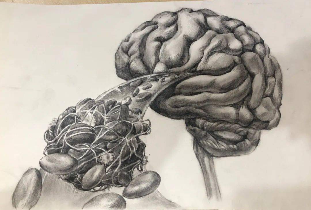 生命的故事,医学生画给你看!