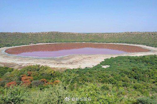 袁原|奇！印度一湖泊变粉红色