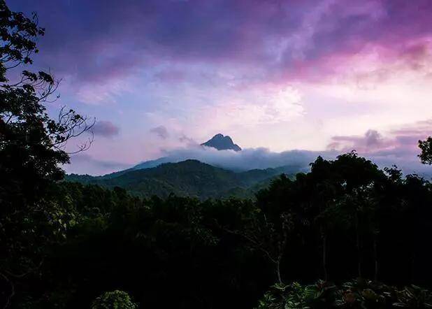 就有一座现今世界仅存的三大片原始热带雨林中地势最高的五指山海南没