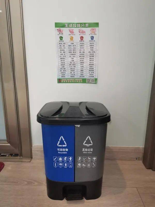 【悦读科丰 主题活动】秀秀我家分类垃圾桶——科丰校区低年级垃圾